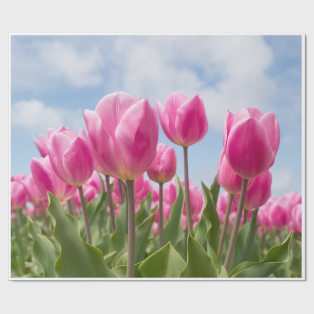 Rosa Tulpen Geschenkpapier  (Flach)