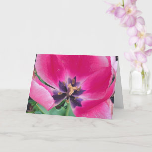 Rosa Tulpen-Grußkarte Karte