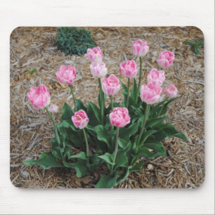 Rosa Tulpen Mousepad