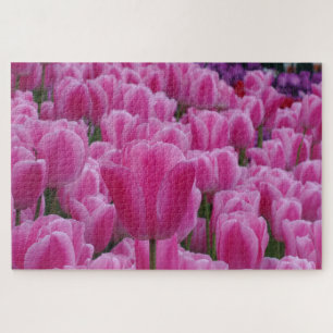 Rosa Tulpen-Puzzle