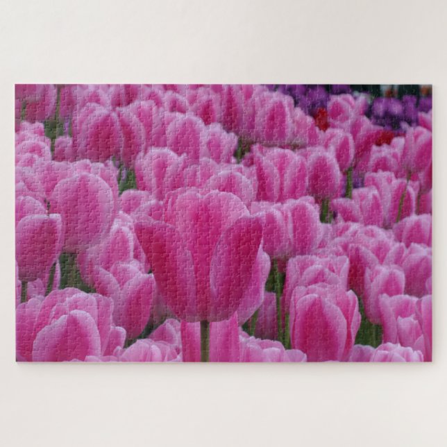 Rosa Tulpen-Puzzle (Horizontal)