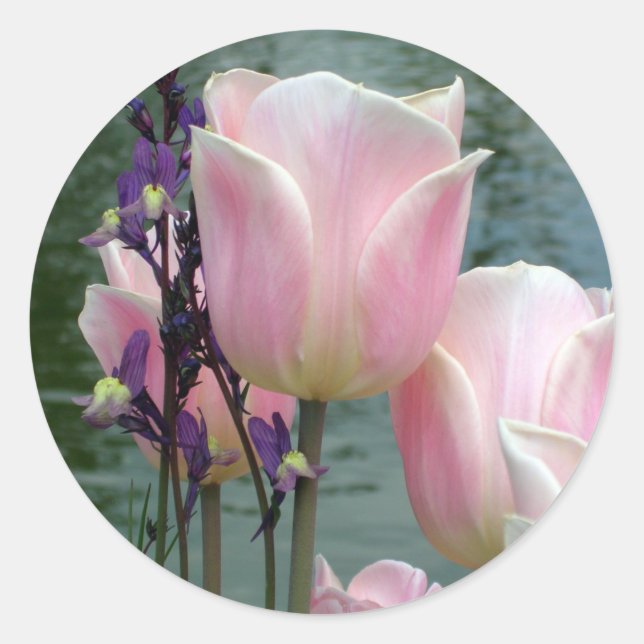 Rosa Tulpen Runder Aufkleber (Vorderseite)