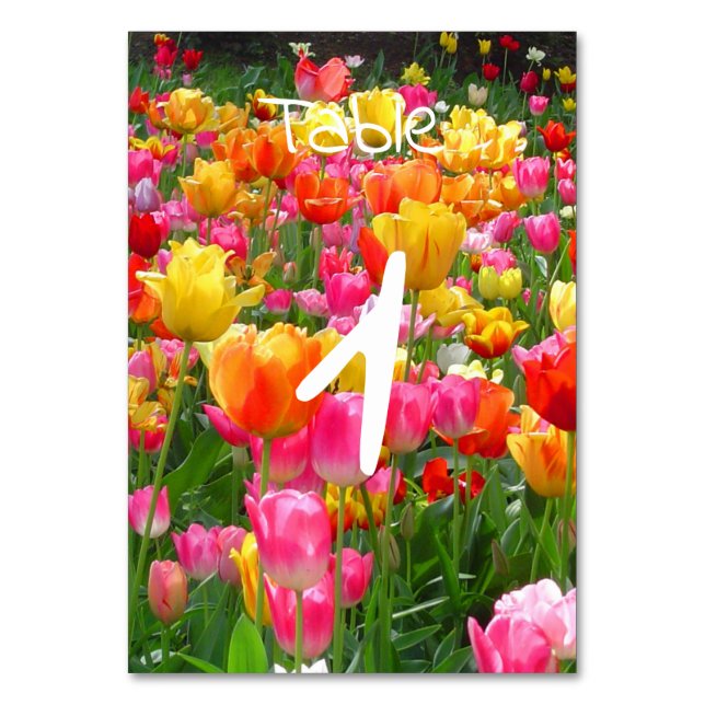 Rosa Tulpen Tischnummer (Rückseite)