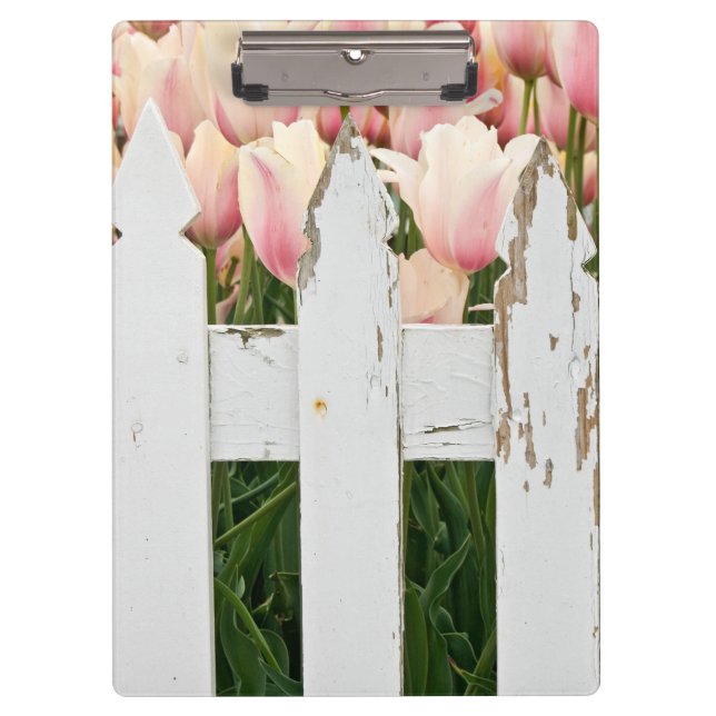 Rosa Tulpen und alter Zaun Klemmbrett (Vorderseite)