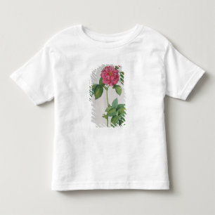 Rosa Turbinata, von, Les Roses', Vol. 1, 1817 Kleinkind T-shirt