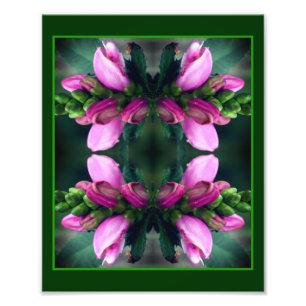 Rosa Turtlehead Blume Mirror Abstrakt 8x10 Fotodruck