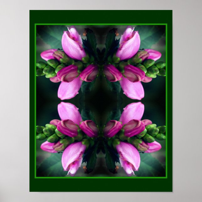 Rosa Turtlehead Blume Nah Up Mirror Abstrakt Poster (Vorne)