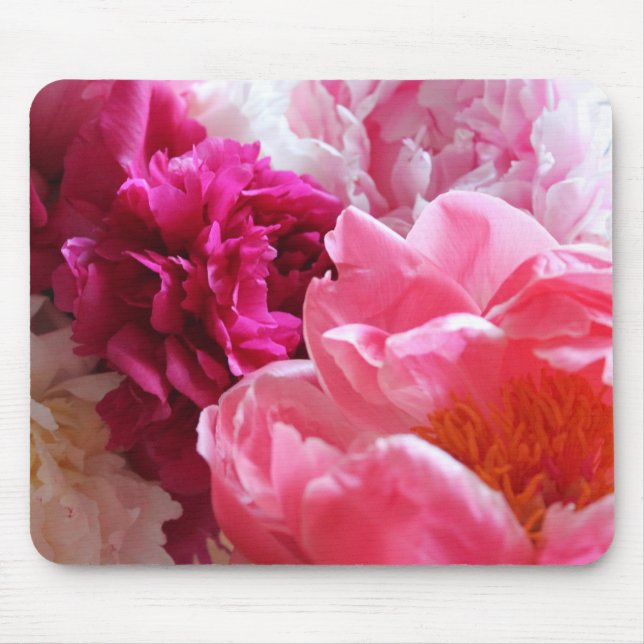 Rosa u. weiße Pfingstrosen in der Blüte - Mousepad (Vorne)