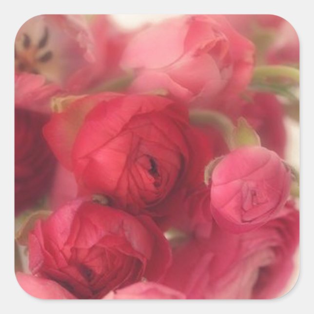 Rosa Umschlag Aufkleber und Aufkleber (Vorderseite)