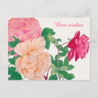 Rosa und blass Orange Rose Blume Beste Wünsche
