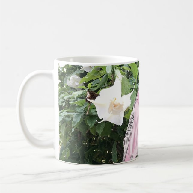 Rosa und blaue Budgien gegen den Trumpf des weißen Kaffeetasse (Links)