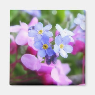 Rosa und blaue Frühlings-Blumen Magnet