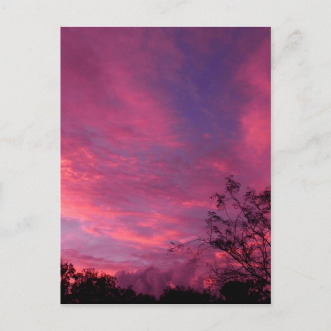 Rosa und blaue Sonnenuntergangsblumen - Himmelskör Postkarte (Vorderseite)