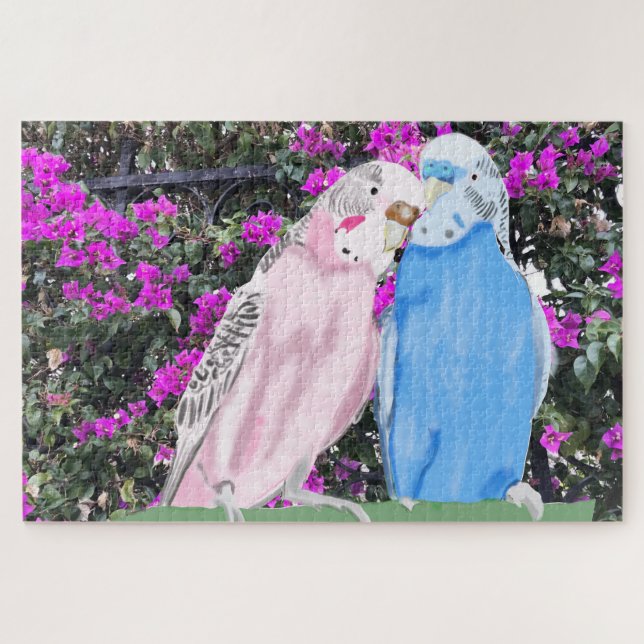 Rosa und blaues Budgie und Bouganvilla (Horizontal)