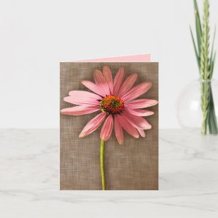 Rosa und braune Gänseblume Echinacea purpurea Dankeskarte