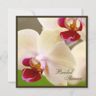 Rosa und Cream Orchid Brautparty Square Einladung