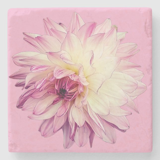 Rosa und cremefarbene Blume Steinuntersetzer (Vorderseite)