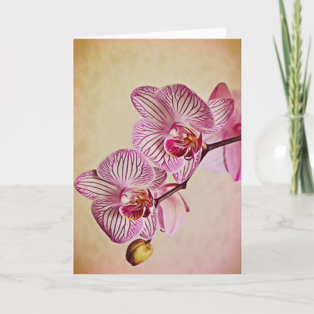 Rosa und cremefarbene Orchideen Karte (Vorderseite)