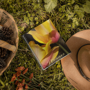 Rosa und gelbe Bicolor Tulips Blütenblume Planer