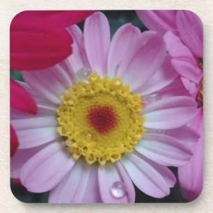 Rosa und gelbe Blume Getränkeuntersetzer