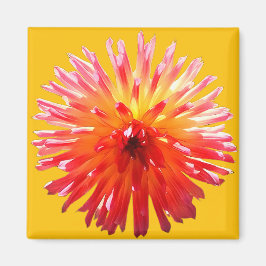 Rosa und gelbe Blume Magnet