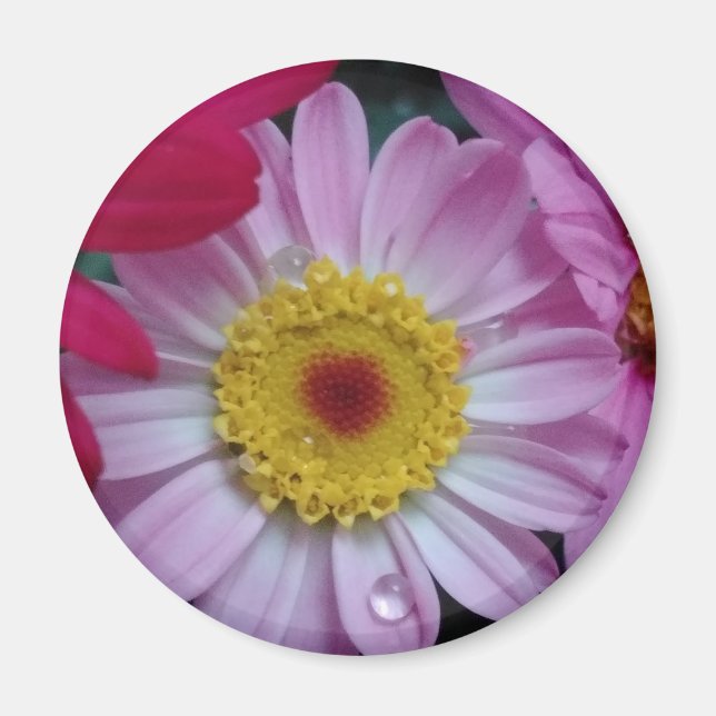 Rosa und gelbe Blume Magnet (Vorne)