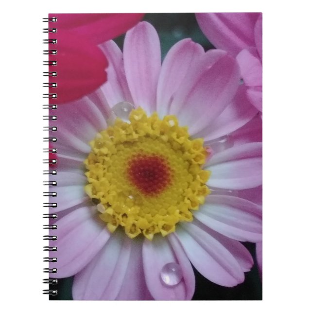 Rosa und gelbe Blume Notizblock (Vorderseite)