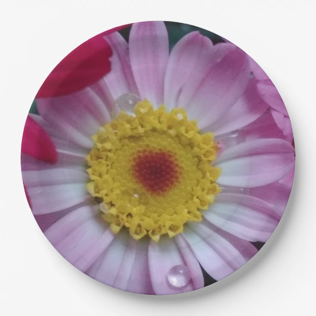 Rosa und gelbe Blume Pappteller (Vorderseite)
