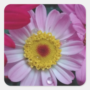 Rosa und gelbe Blume Quadratischer Aufkleber