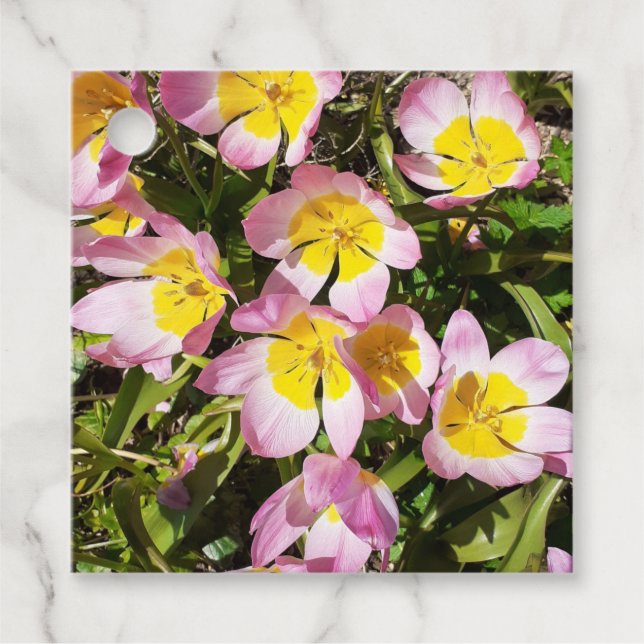 Rosa und gelbe Blumen Geschenkanhänger (Vorderseite)