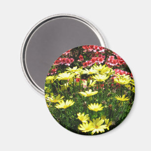 Rosa und gelbe Blumen - Magnet