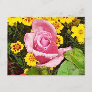 Rosa und gelbe Blumen Postkarte