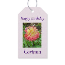 Rosa und Gelbe Dahlia