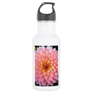Rosa und gelbe Dahlienblüten in der Blume Trinkflasche