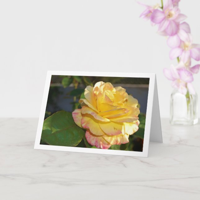 Rosa und gelbe Rose Karte (Orchidee)