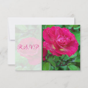 Rosa und gelbe Rosen Hochzeitsantwortkarte Einladung