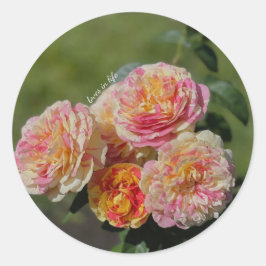 Rosa und Gelbe Rosen Runder Aufkleber