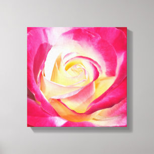 Rosa und gelbe Rosenleinwanddruck Leinwanddruck