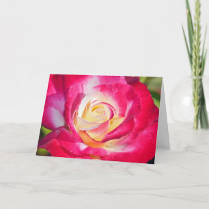 Rosa und gelbe Single Rose Grußkarte Karte