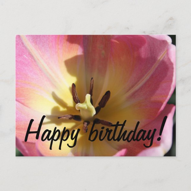 Rosa und gelbe Tulpe Postkarte (Vorderseite)