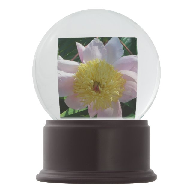 Rosa und gelbe Zinnen Schöner Blumengarten Schneekugel (Vorderseite)