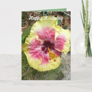 Rosa und gelber Hibiskus Tropische Blume Geburtsta Karte