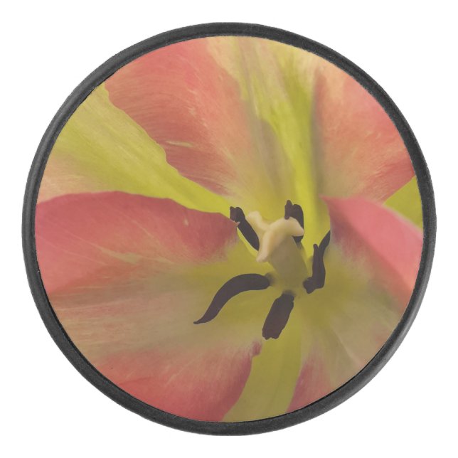 Rosa und Gelbfärbung Eishockey Puck (Vorderseite)