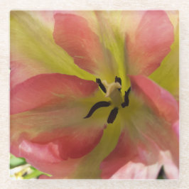 Rosa und Gelbfärbung Glasuntersetzer