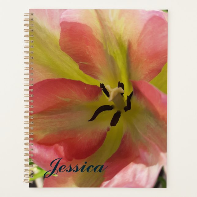 Rosa und Gelbfärbung Planer (Vorderseite)