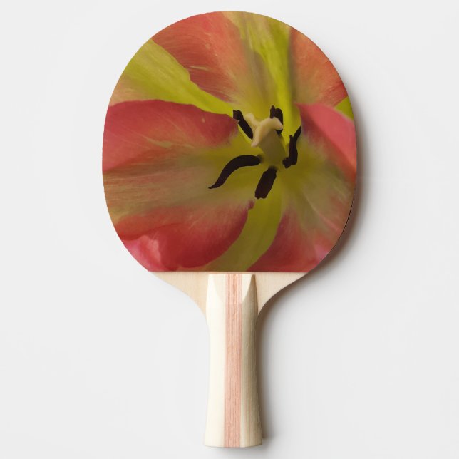 Rosa und Gelbfärbung Tischtennis Schläger (Vorderseite)