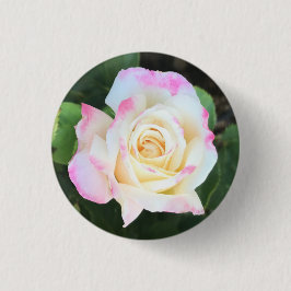 Rosa- und Gelbrosette Button