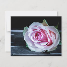 Rosa und grüne Rose Einladung