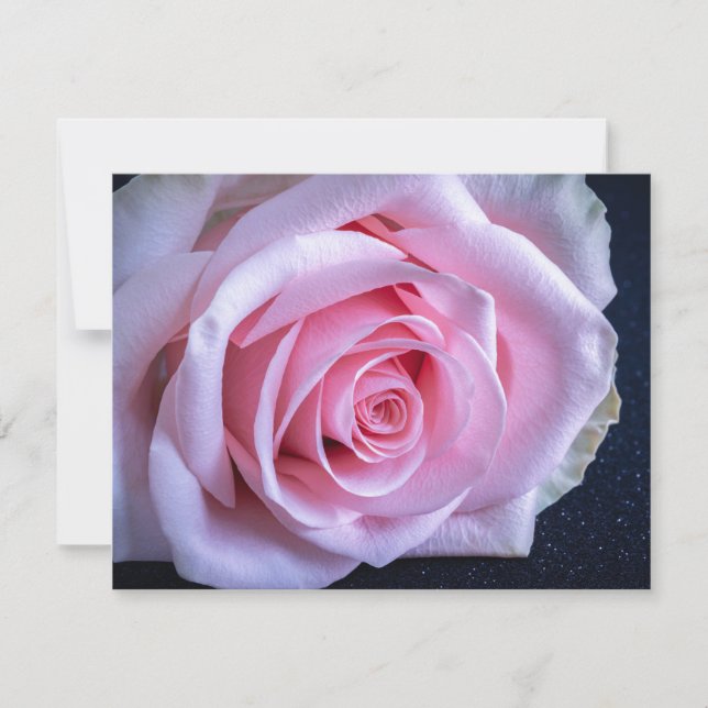 Rosa und grüne Rose Einladung (Vorderseite)