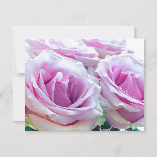 Rosa und grüne Rose Einladung (Vorderseite)